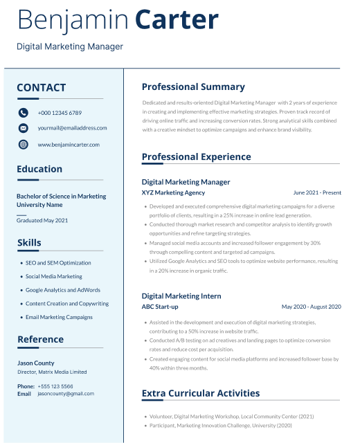 Experienced digital marketing CV example